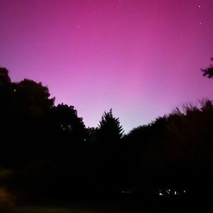 Meet your Posher, Omea